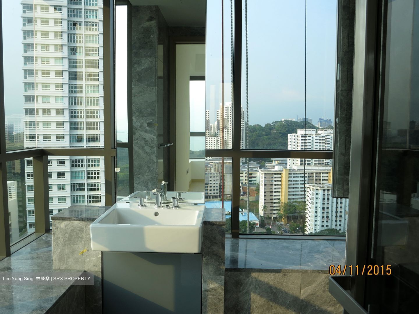 Skyline Residences (D4), Condominium #557057611